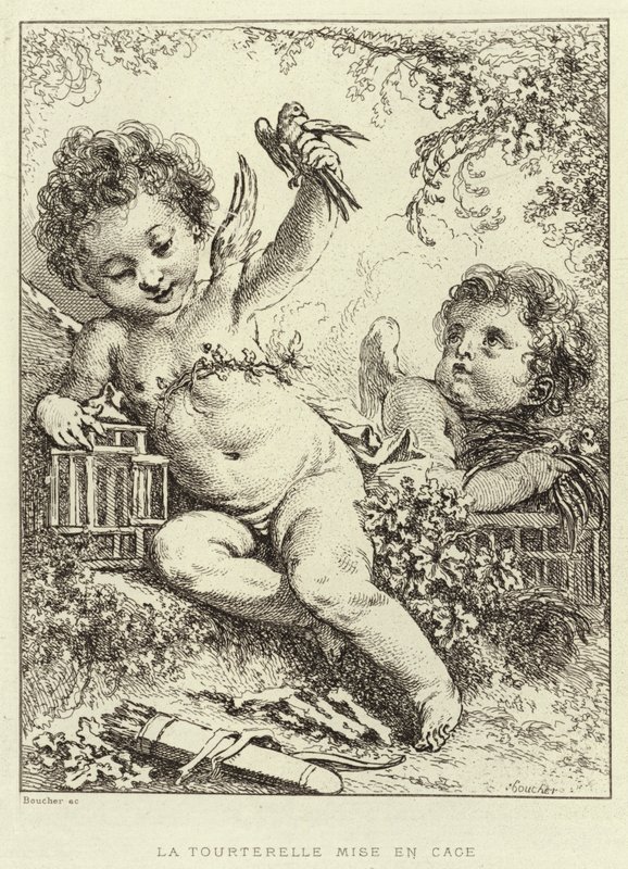 Dove v kleci (rytina) od Francois (after) Boucher