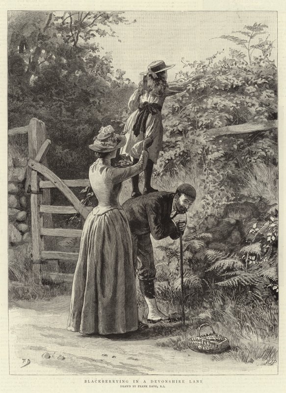 Ostružiny v Devonshirské uličce od Frank Dadd