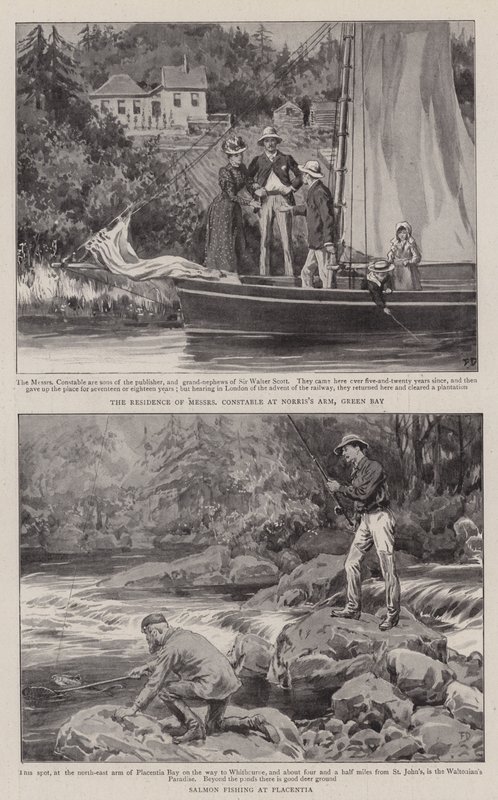 Zemědělství a sport na Newfoundlandu od Frank Dadd