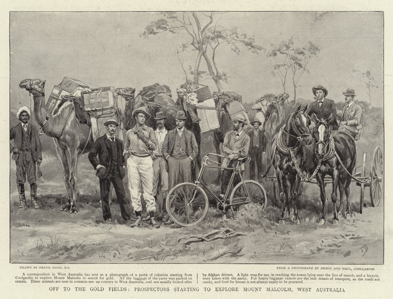 Odjeli do Zlatých polí, prospektoři začínají prozkoumávat Mount Malcolm v Západní Austrálii od Frank Dadd
