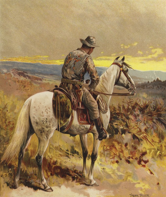 Skaut - Severní Amerika od Frank Feller