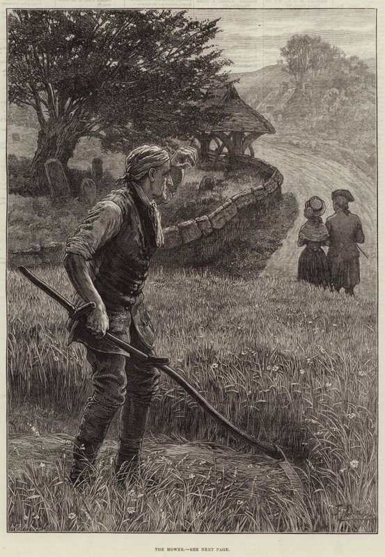 Sekačka od Frank Dadd