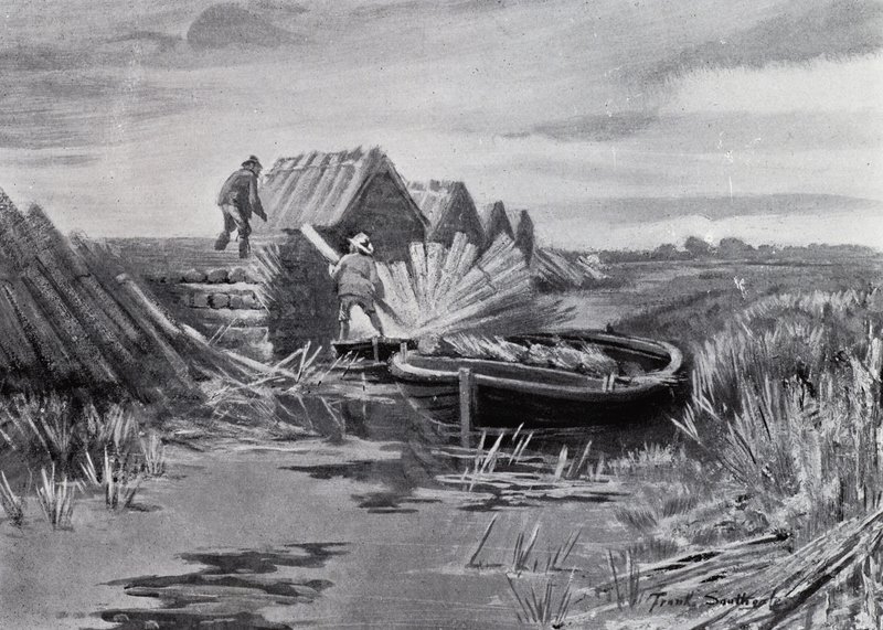 Norfolk Broads: Reed-Stacking (litho) od Frank Southgate