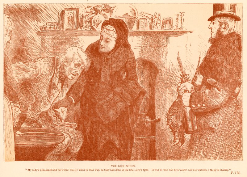 Bohatá vdova od Frederick Barnard