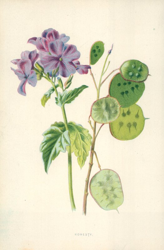 Poctivost od Frederick Edward Hulme