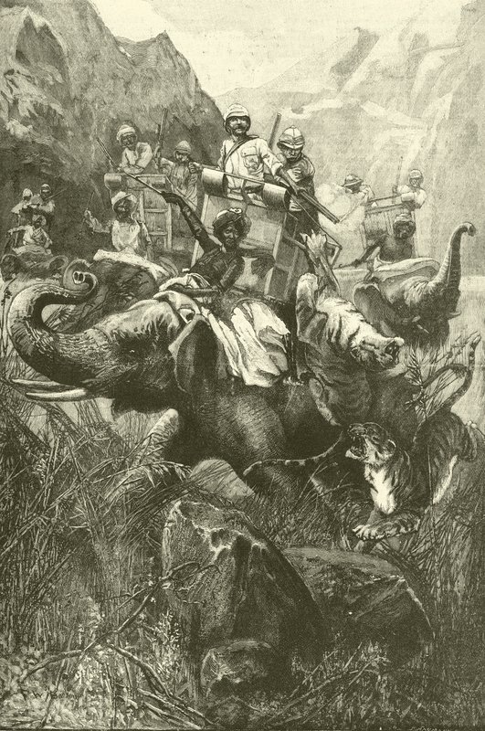 Lov tygrů v Indii (rytina) od Frederick William Burton