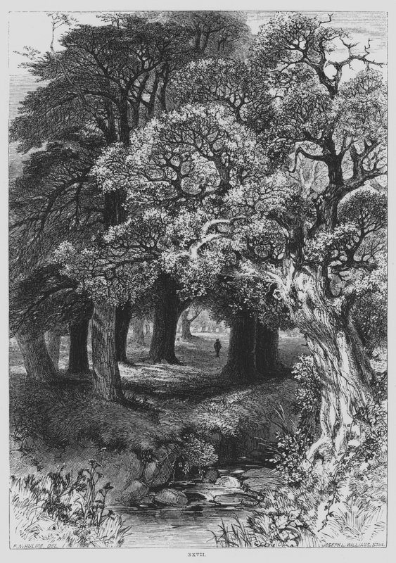 John Milton, The Pensive (rytina) od Frederick William Hulme