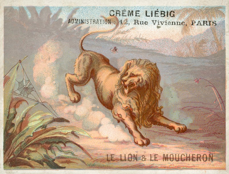 Lev a komár od French School