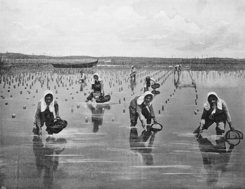 Arcachon - Oyster Parqueuses (černobílá fotografie) od French Photographer