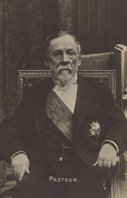 Louis Pasteur (1822-1895), francouzský chemik a mikrobiolog od French Photographer