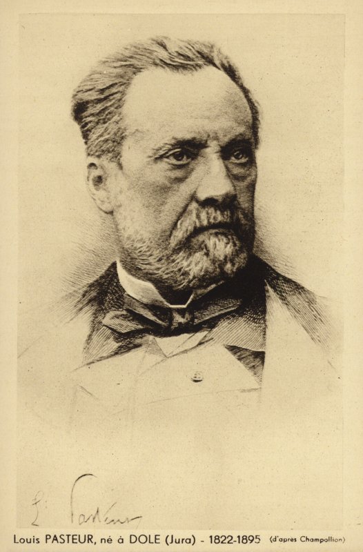Louis Pasteur (1822-1895), francouzský chemik a mikrobiolog od French Photographer