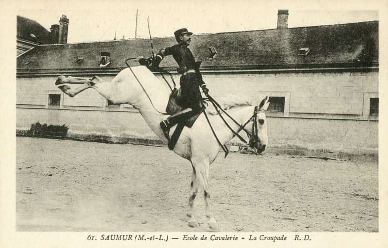 Saumur (Maine-et-Loire), jezdecká škola, La Croupade od French Photographer