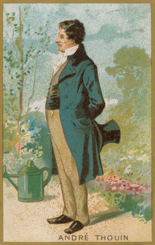 Andre Thouin od French School