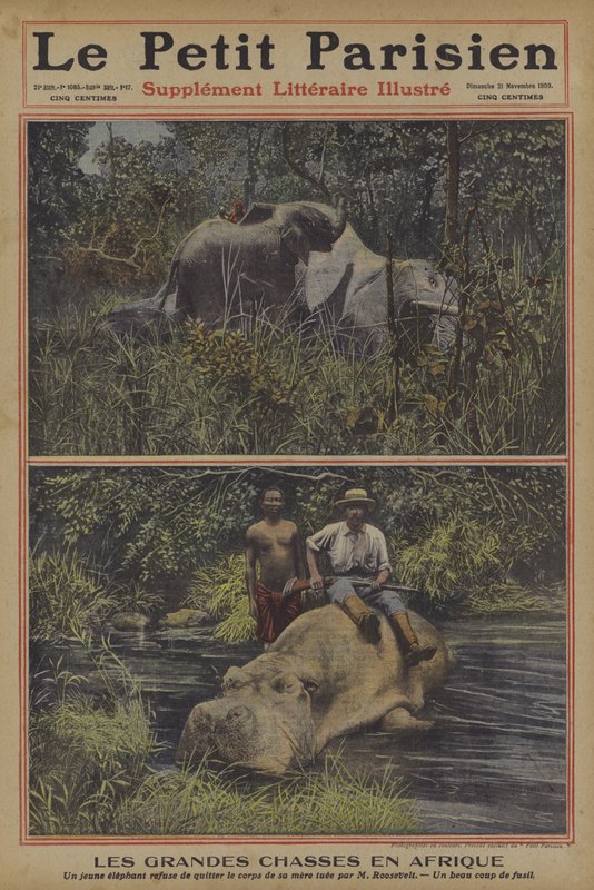 Lov velké zvěře v Africe (color litho) od French School
