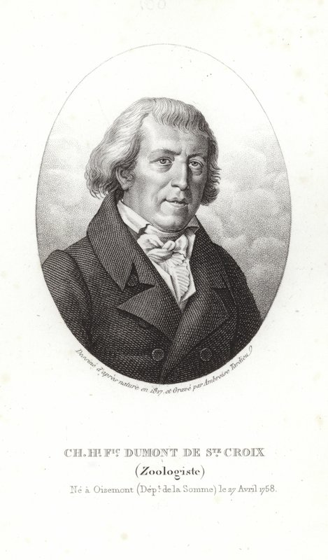 Charles Dumont ze Sainte-Croix od French School