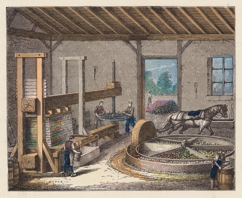 Výroba cideru (barevné rytí) od French School