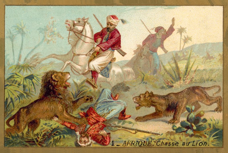 Lov lva v Africe (chromolitho) od French School
