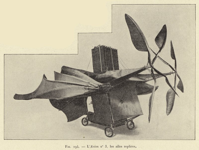 Letoun č. 3, křídla složená (rytina) od French School