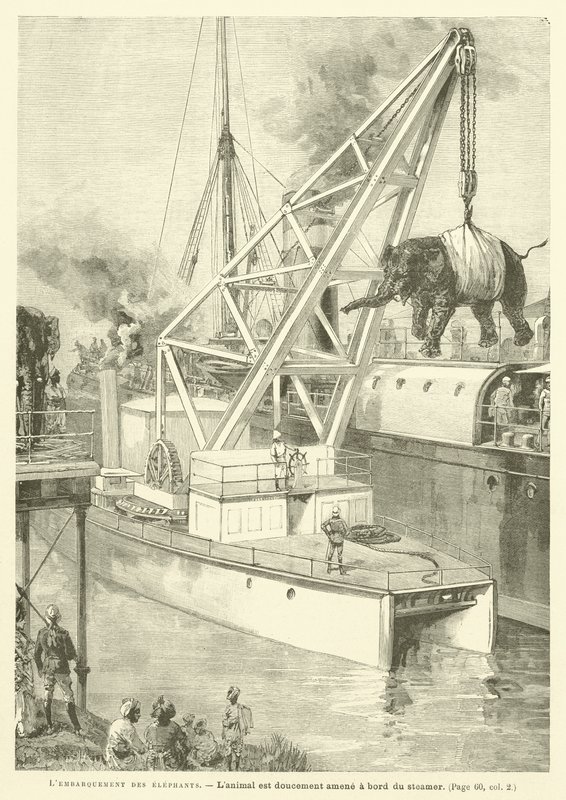 Embarkation Of The Elephants (rytina) od French School