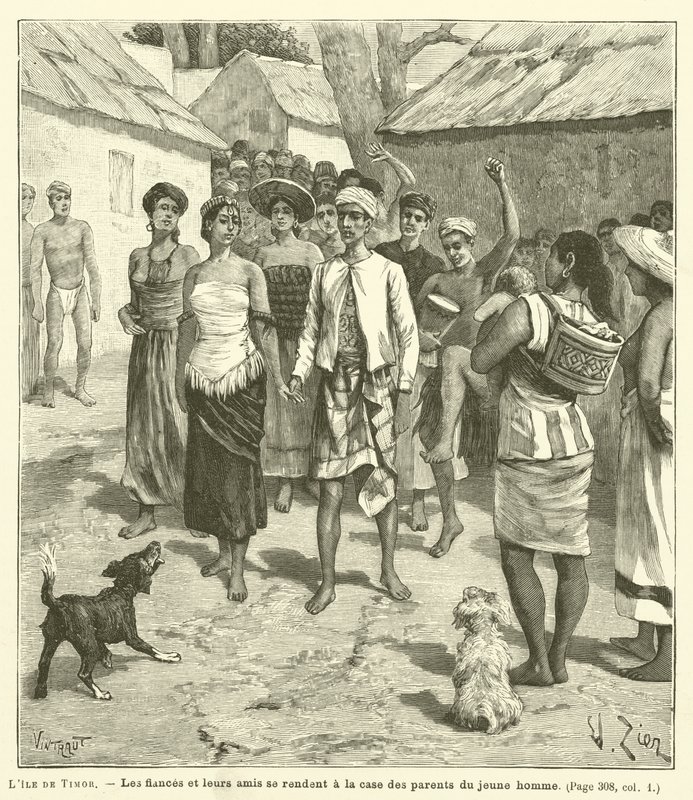 Ostrov Timor (rytina) od French School