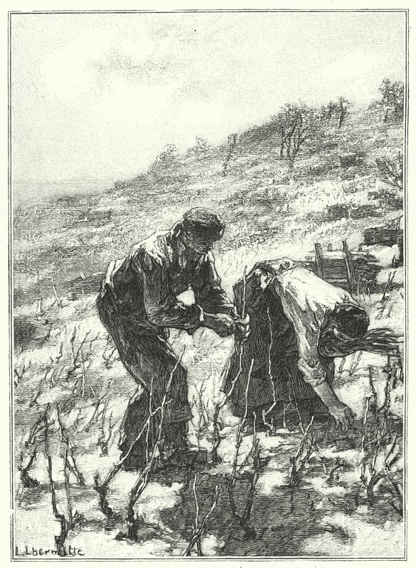 Pruning The Vines (rytina) od French School