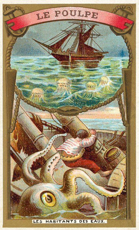 Chobotnice (chromolitho) od French School