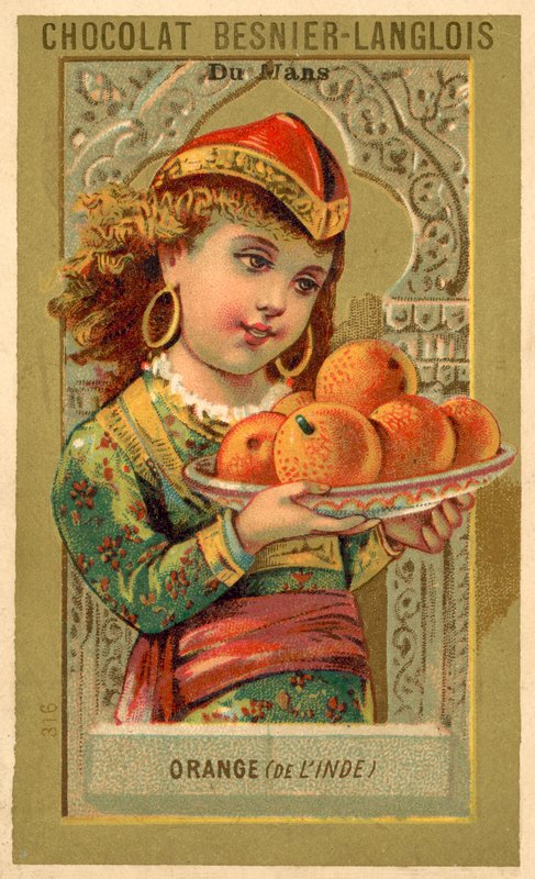 Pomeranče z Indie (chromolitho) od French School