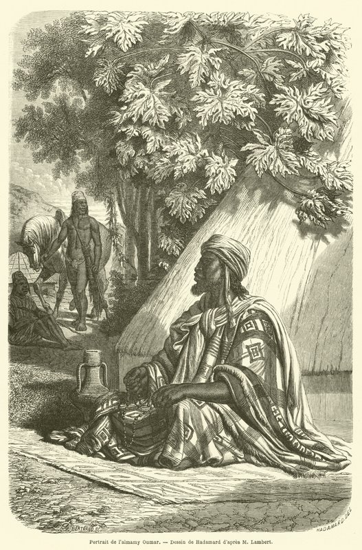 Portrét Almamy Oumar (rytina) od French School