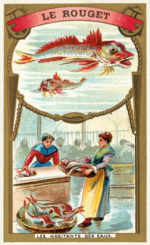 Parmice (chromolitho) od French School