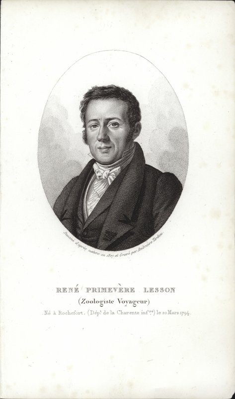 Lekce René Primevère od French School