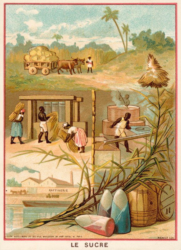cukr (chromolitho) od French School