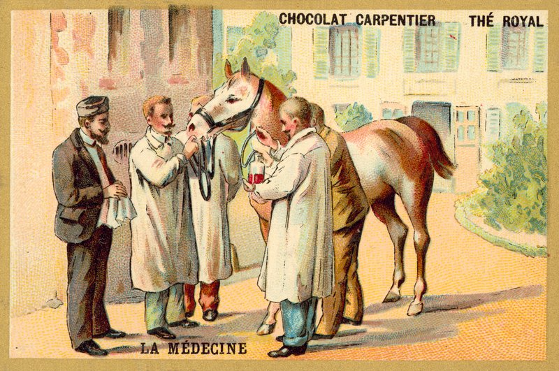 Odběr krve z koně (chromolitho) od French School