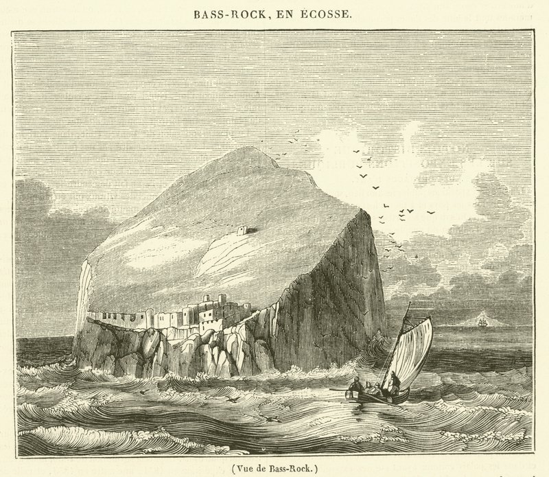 Vue de Bass-Rock (rytina) od French School