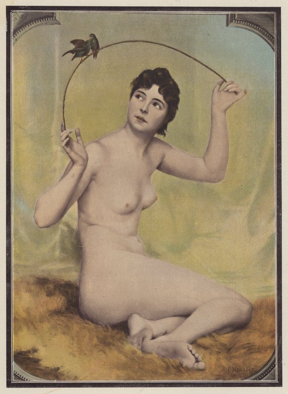Mladá nahá žena s ptáky (barva litho) od French School