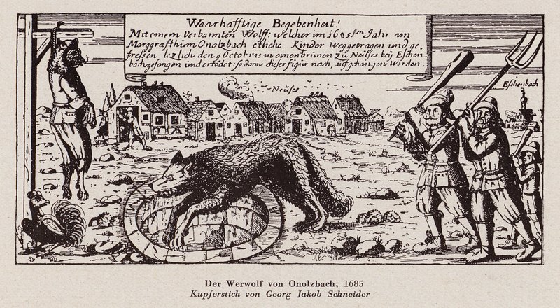 Vlk z Ansbachu od G.J. Schneider