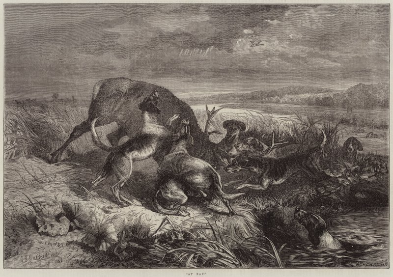 V zátoce od George Bouverie Goddard