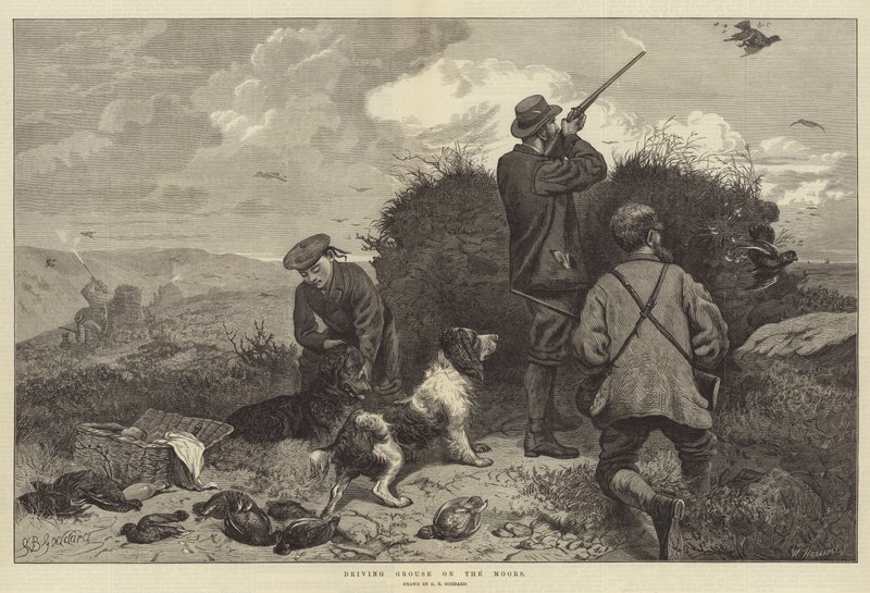 Řízení tetřevů na Moors od George Bouverie Goddard