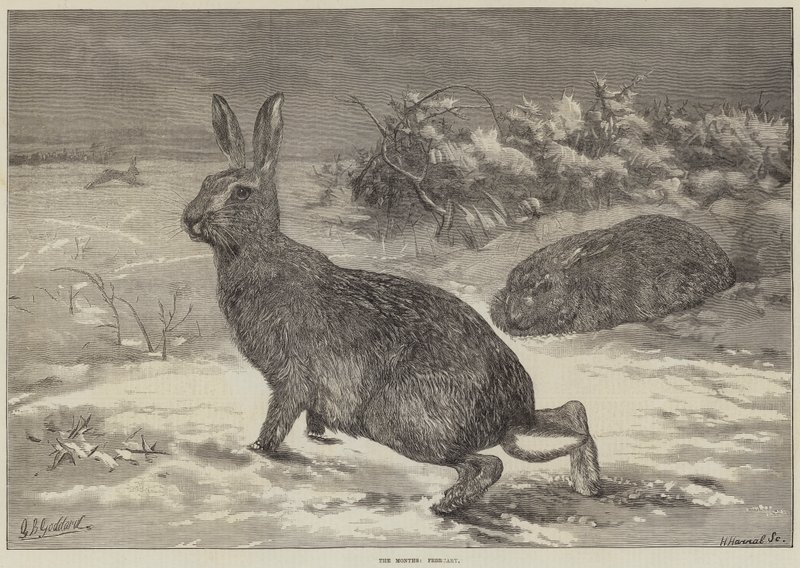 Měsíce, únor od George Bouverie Goddard