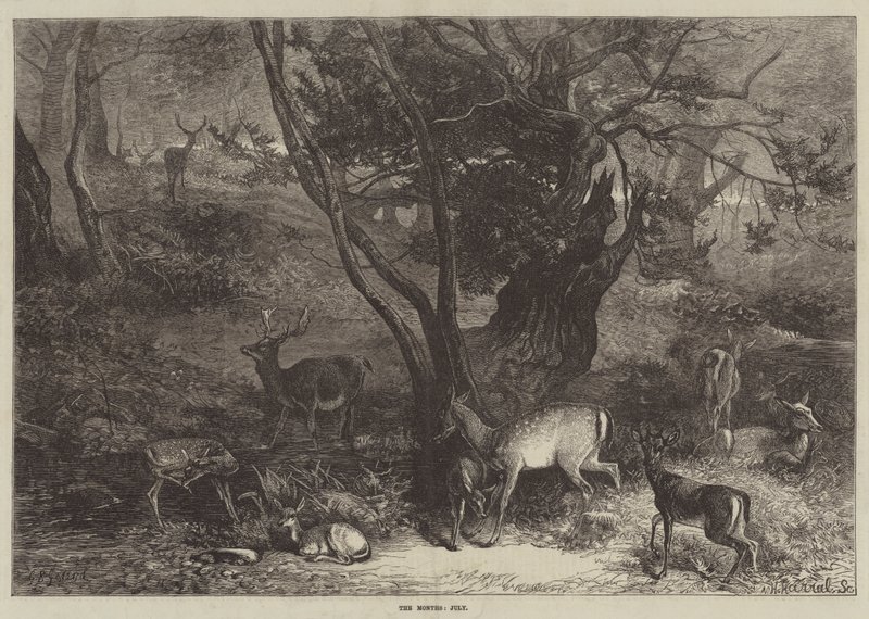 Měsíce, červenec od George Bouverie Goddard