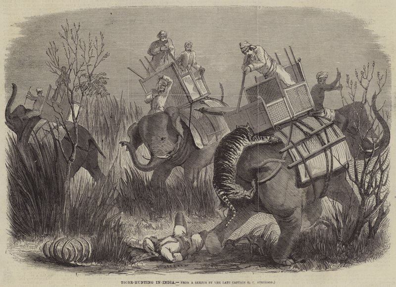Lov tygrů v Indii od George Francklin Atkinson