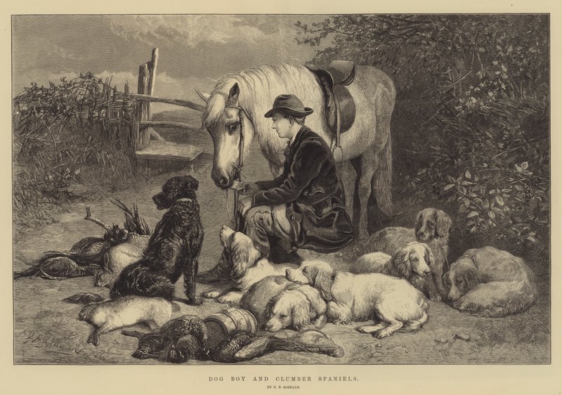 Psí chlapec a Clumber Španělé od George Bouverie Goddard