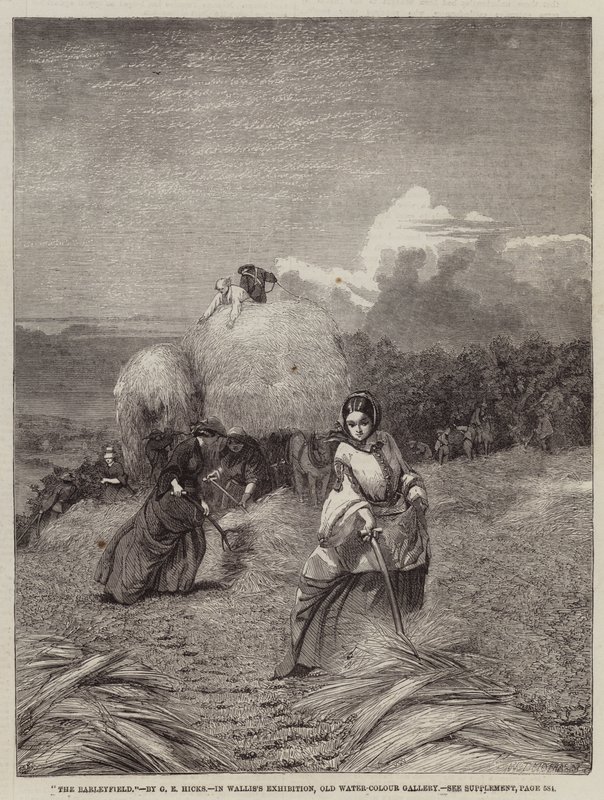 Barleyfield od George Elgar Hicks