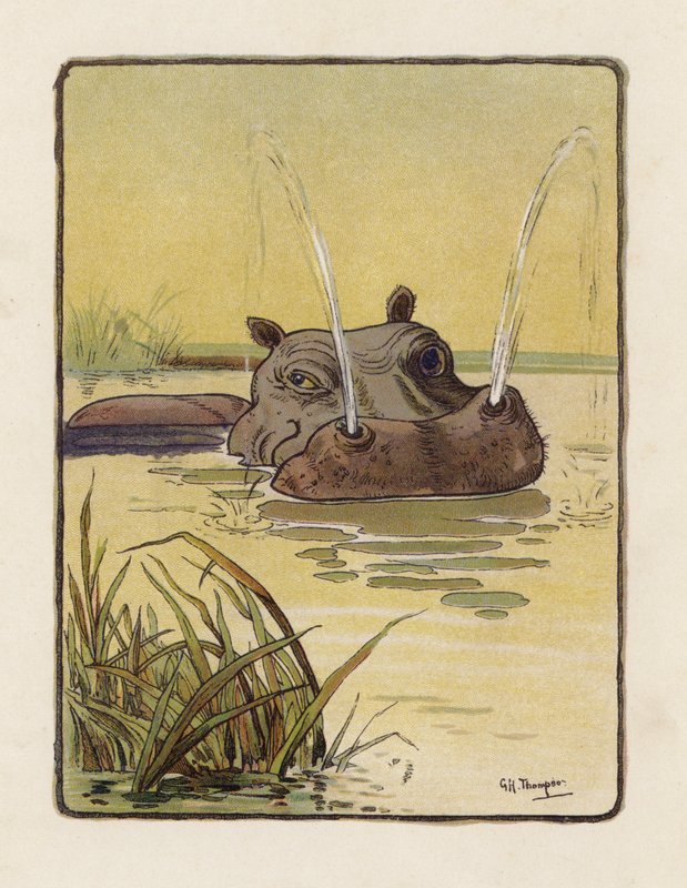 Hroch (barevná litografie) od George Henry Thompson