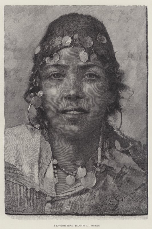Oblíbený otrok od George L. Seymour