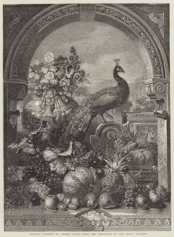 Harolde od George Lance