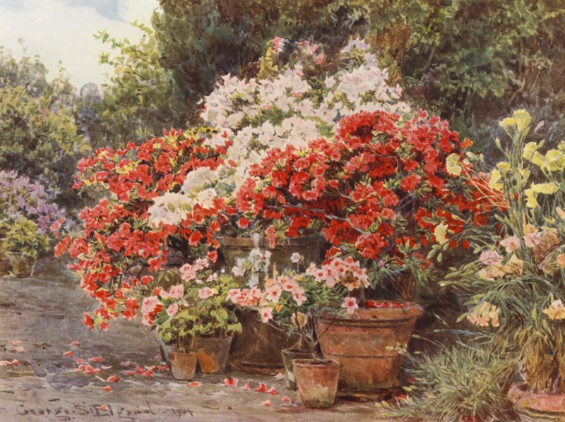 Italské zahrady: (barevná litografie) od George Samuel Elgood