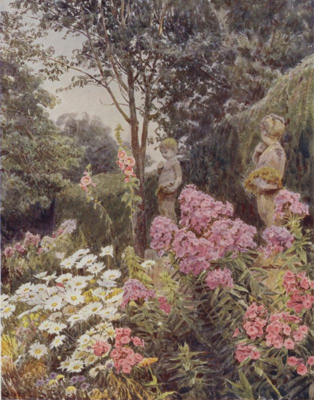 Phlox a Daisy od George Samuel Elgood