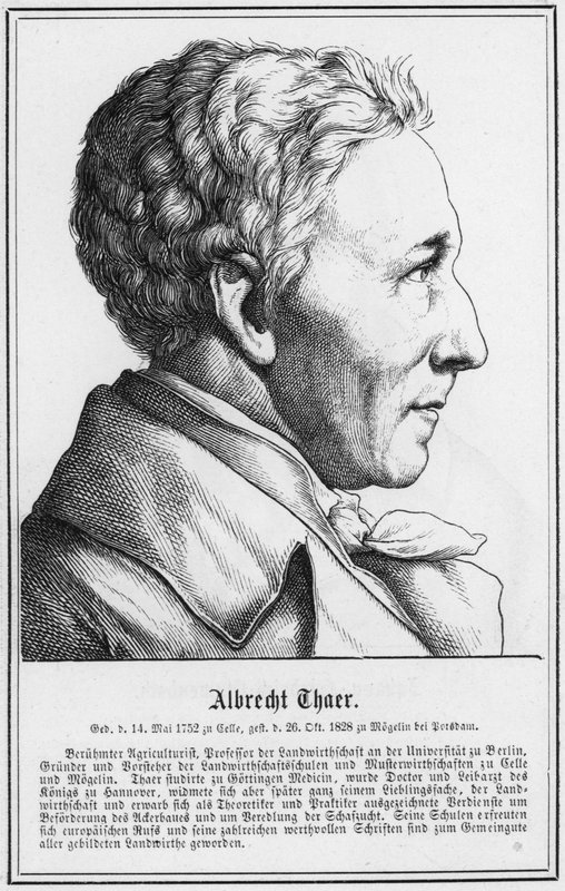 Albrecht Thaer (rytina) od German School