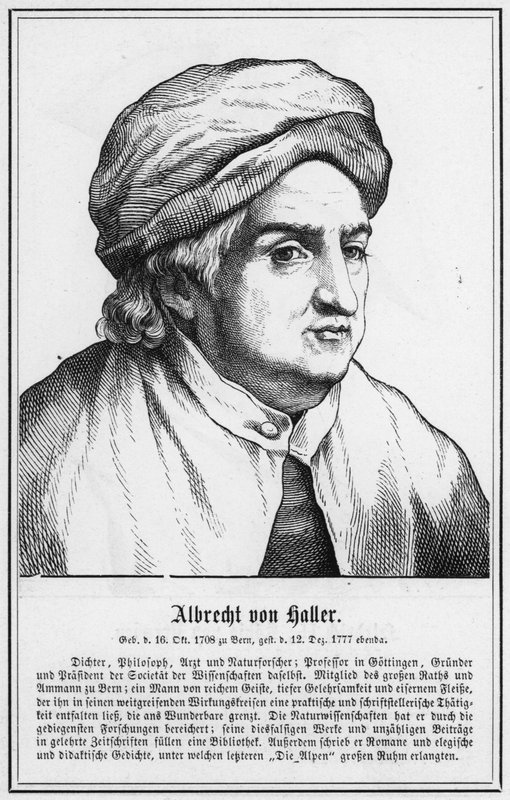Albrecht von Haller (rytina) od German School