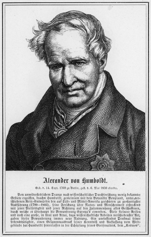 Alexander von Humboldt (rytina) od German School